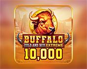 Buffalo Hold And Win Extreme 10000